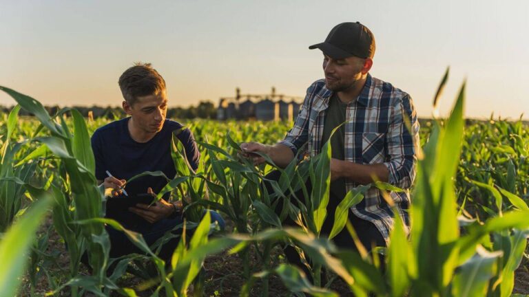From Farms to Tables: How AI Helps in Food Supply Chains