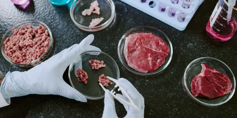 The Rise of Lab-Grown Meat: What You Need to Know